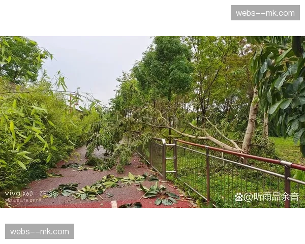 体育活动管理与城市气象系统对接 预警雷雨停赛